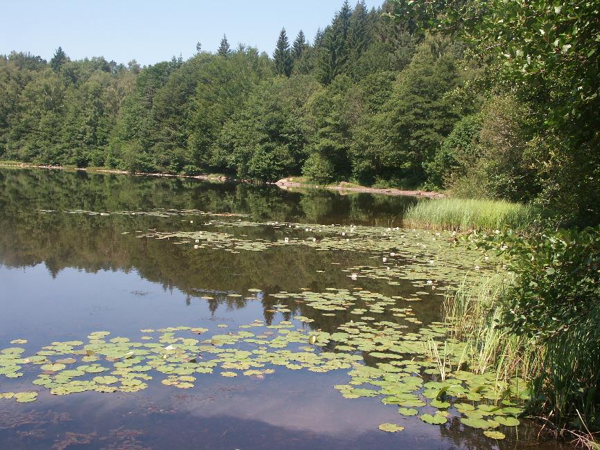 Lac de la Cregut