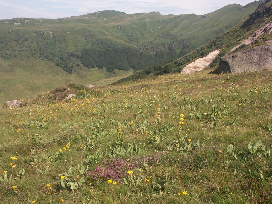 La Fontaine Salée, depuis le Puy Gros