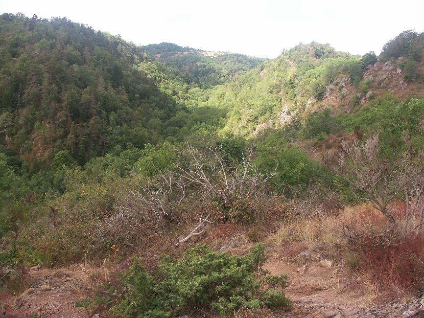 Descente dans les gorges de la Monne