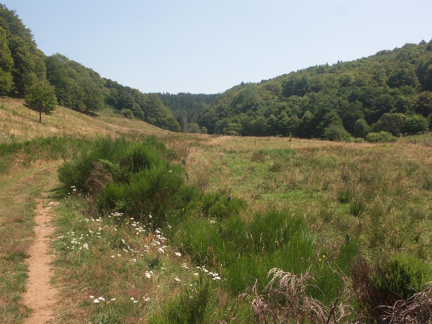 Avant Picherande