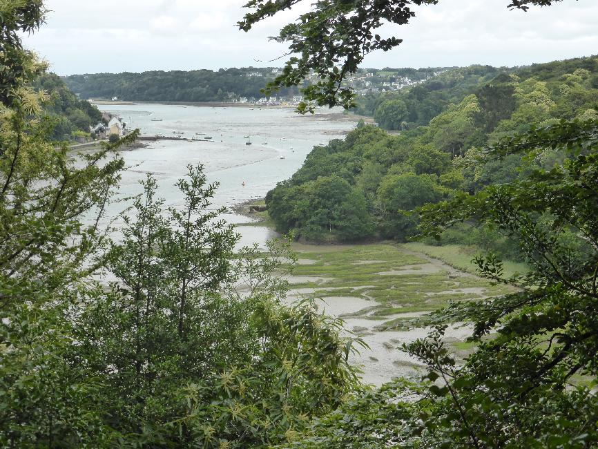 Baie de Morlaix