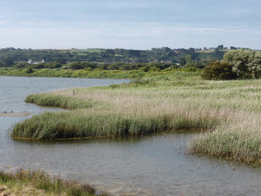 Etang de Curnic