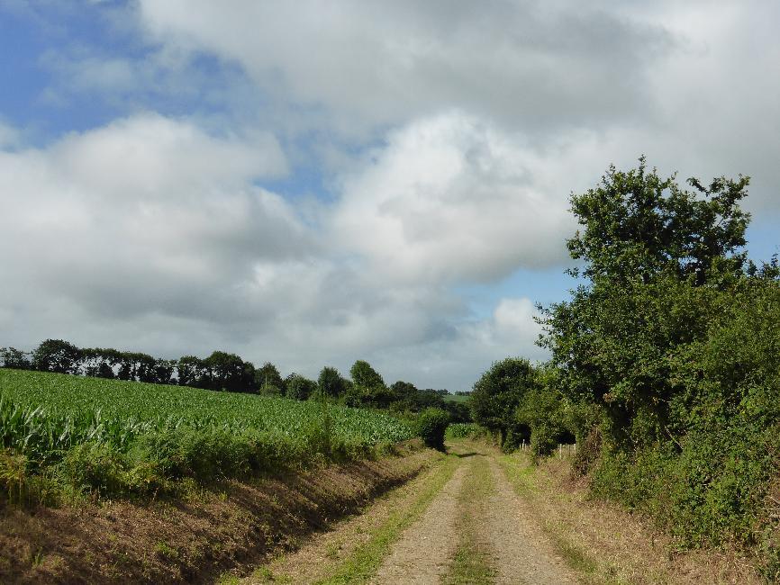 Vers Keranguinal