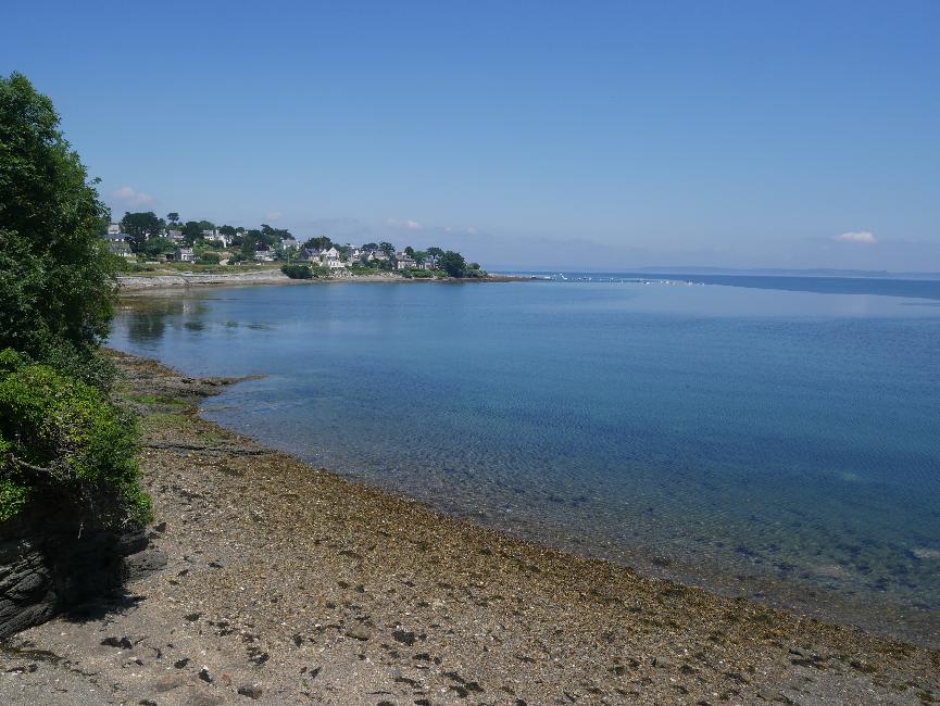 Quelern