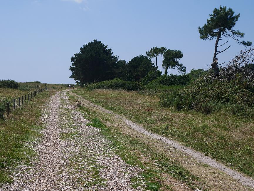 Plage de Kermil, derrière les dunes