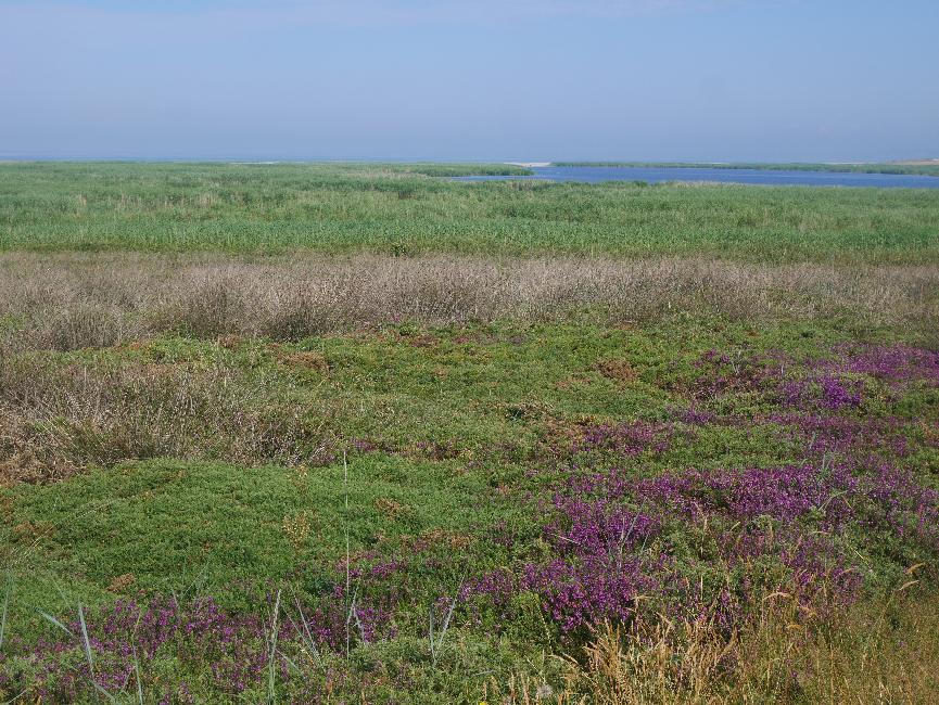 De l'étang de Trunvel à Pors Poulhan