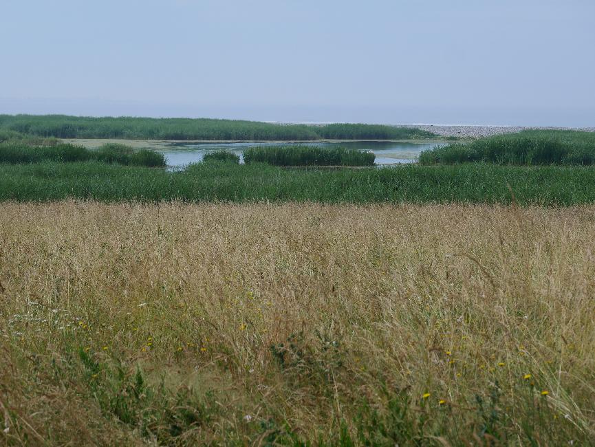 Etang de Kergalan