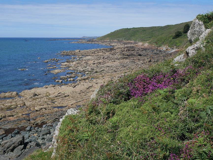 Falaises de Trédez