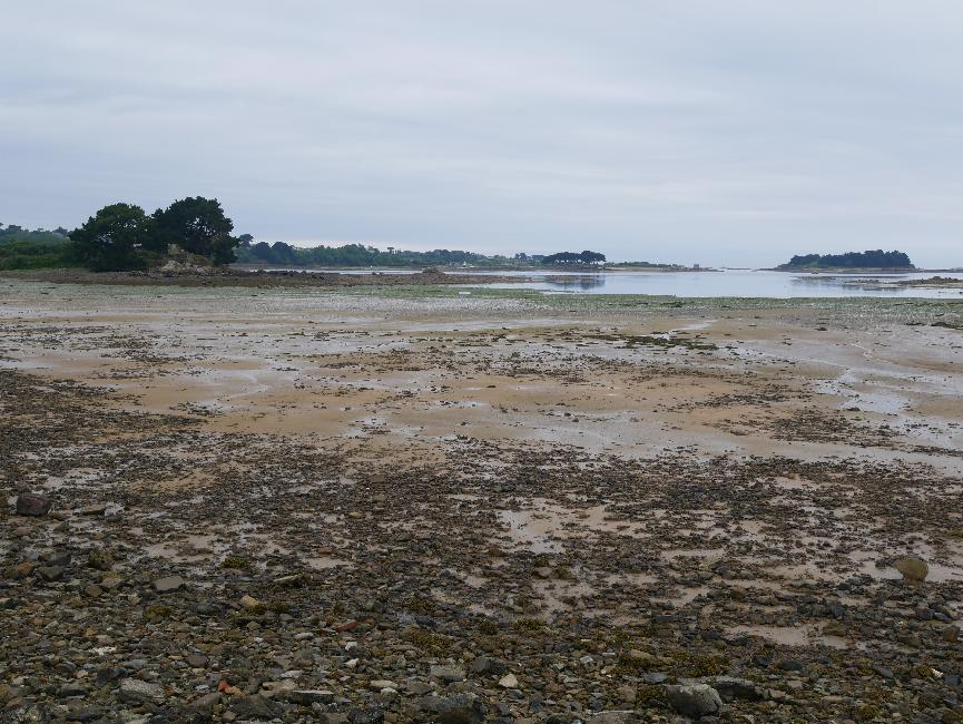 Le Palud