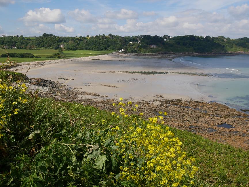 Plage de Saint Jean du Doigt