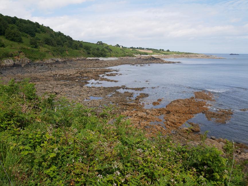 Entre Saint-Jean du Doigt et la pointe de Roch Louët