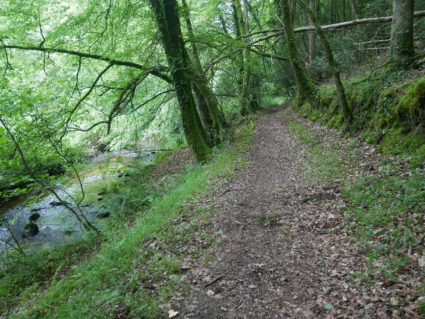 Au bord du Var