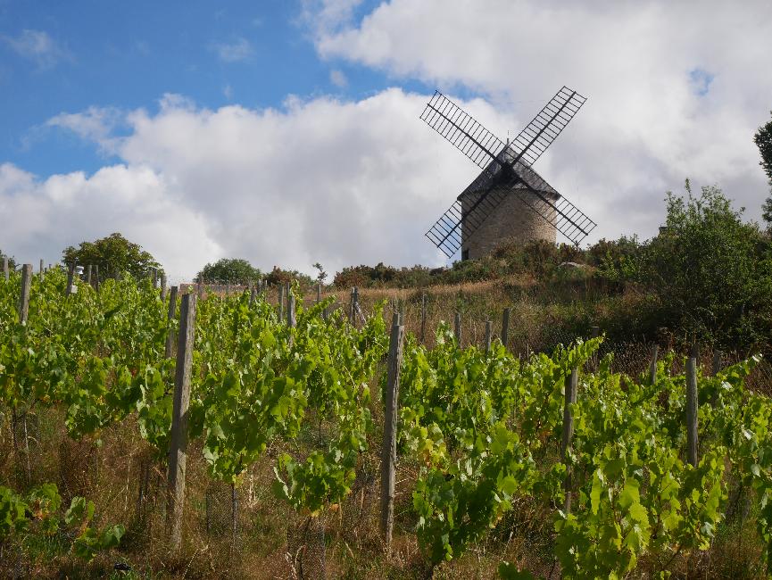 De Dol de Bretagne à Saint-Benoit des Ondes