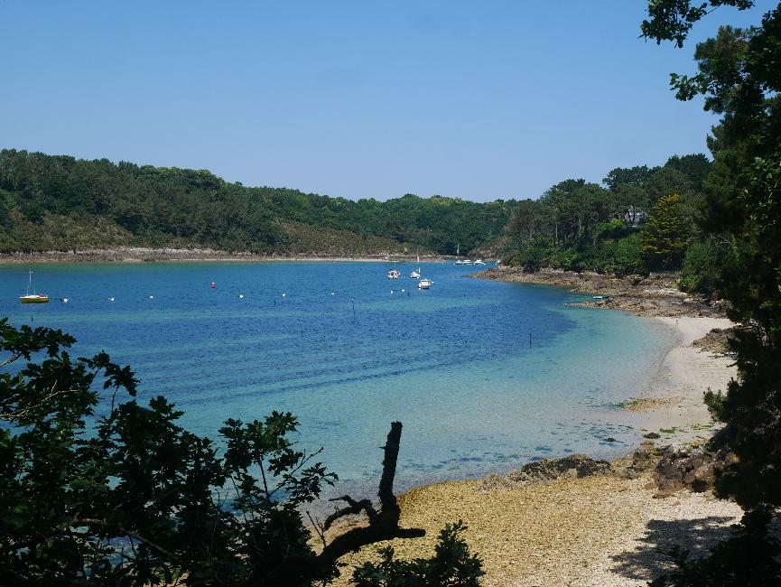 Estuaire du Bélon