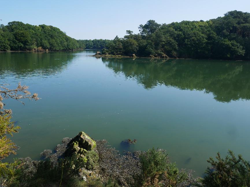 Confluent entre le Dourdu et le Bélon