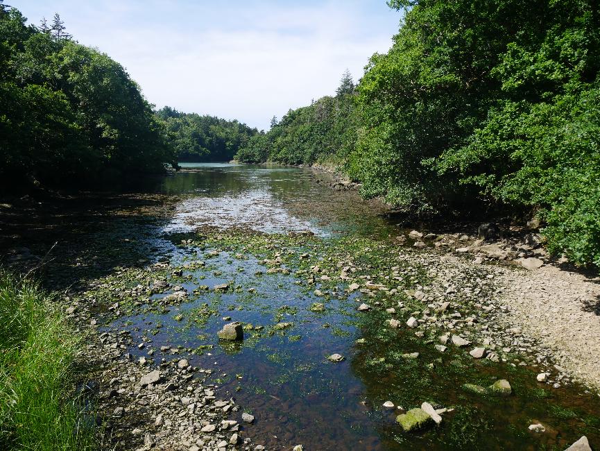 Rivière de Merrien