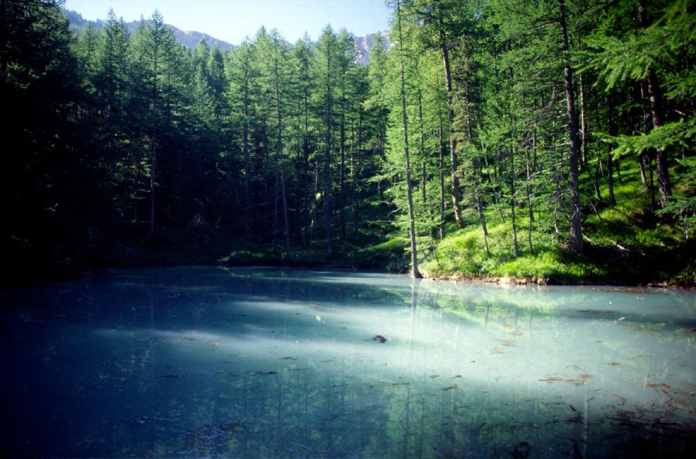La couleur de ce lac viendrait du pollen des résineux