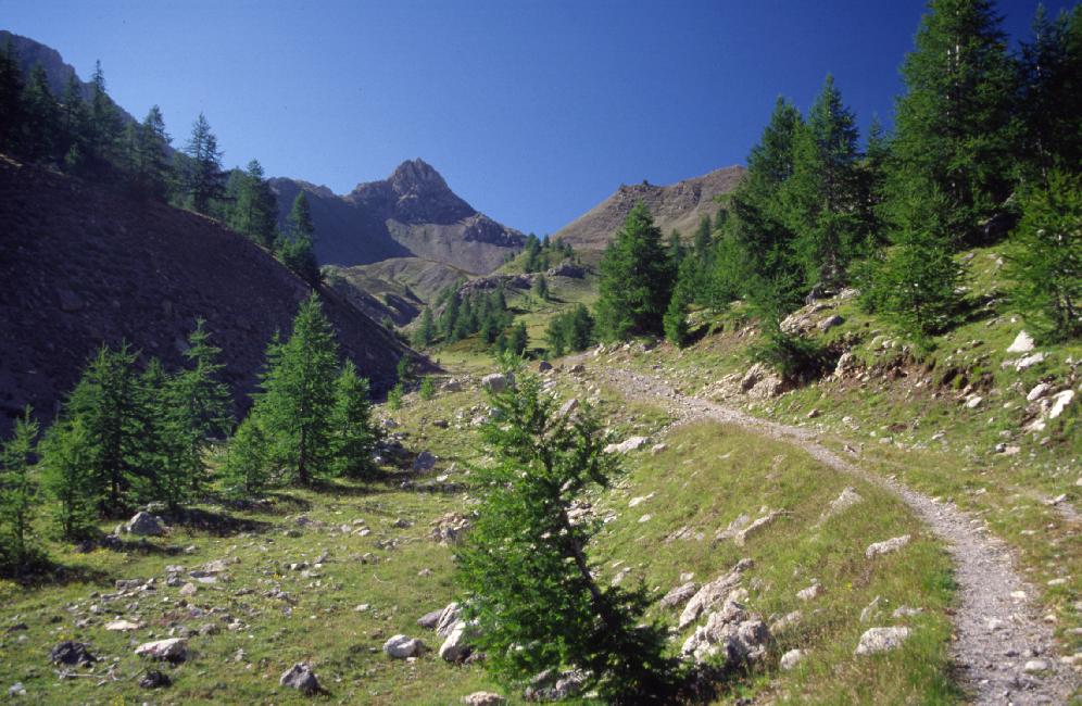 Montée vers le col de Furfande (2500m)