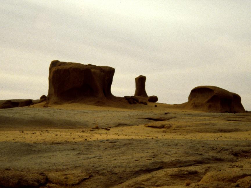 Sculptures de sable 