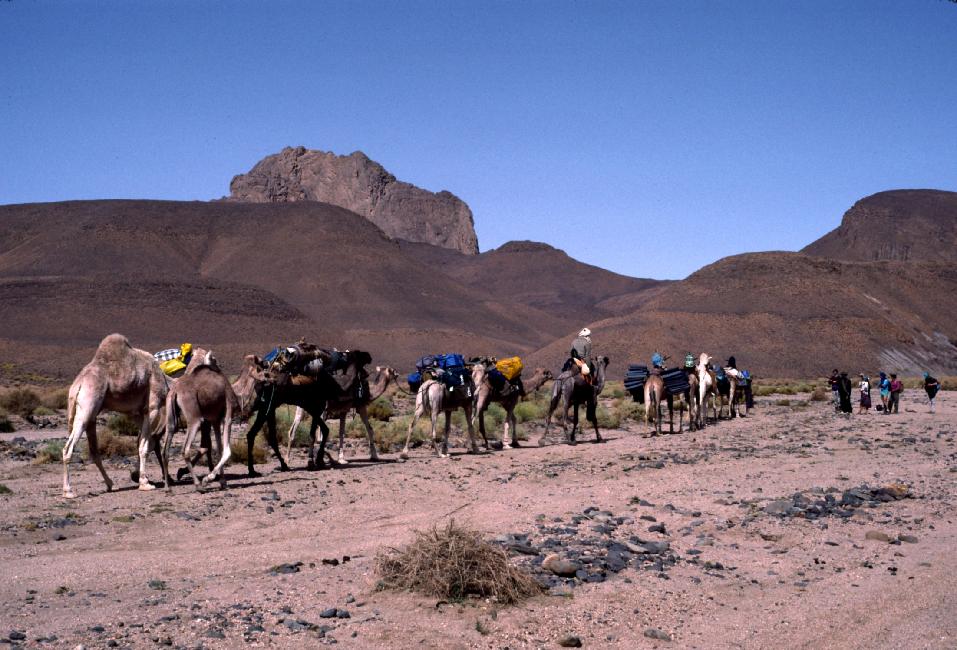 De Tamanrasset au mont Tahat
