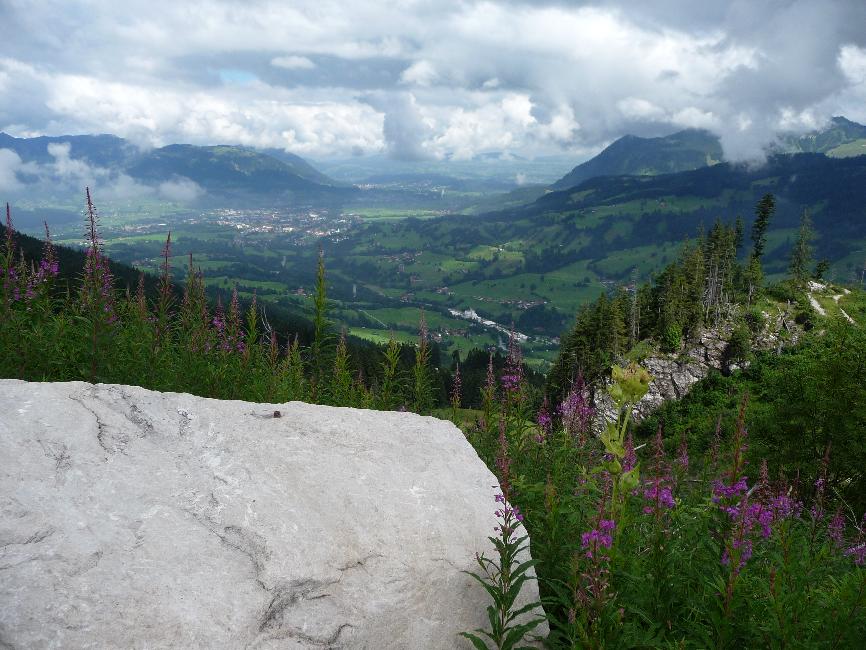 Vue sur la vallée