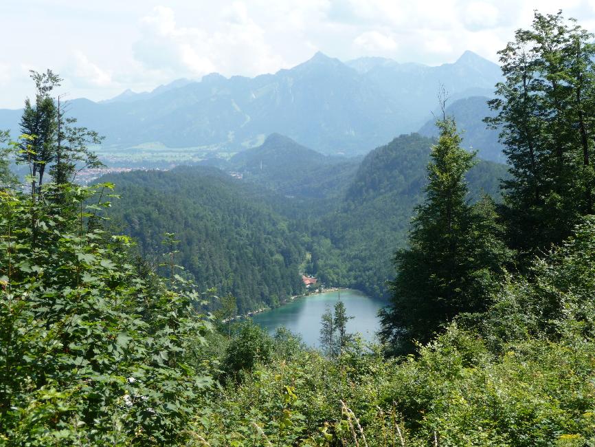 Alatsee