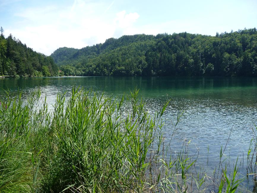 Alatsee