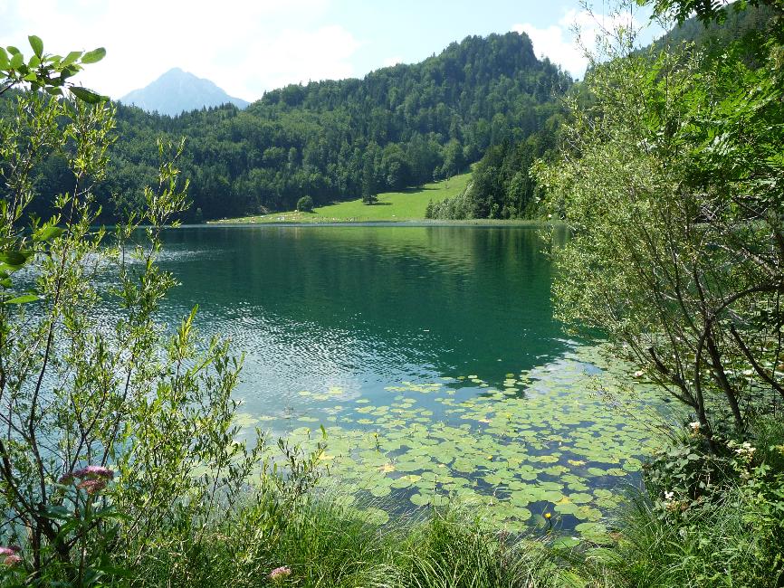 Alatsee