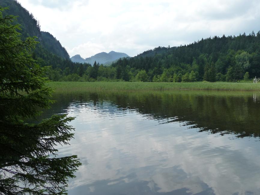 Obersee