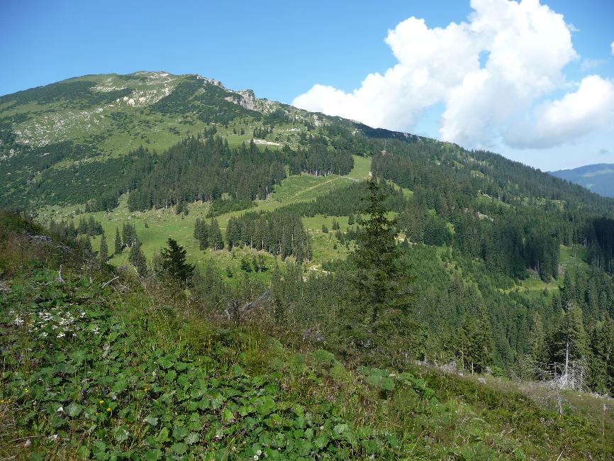 Montée vers Sennalpe
