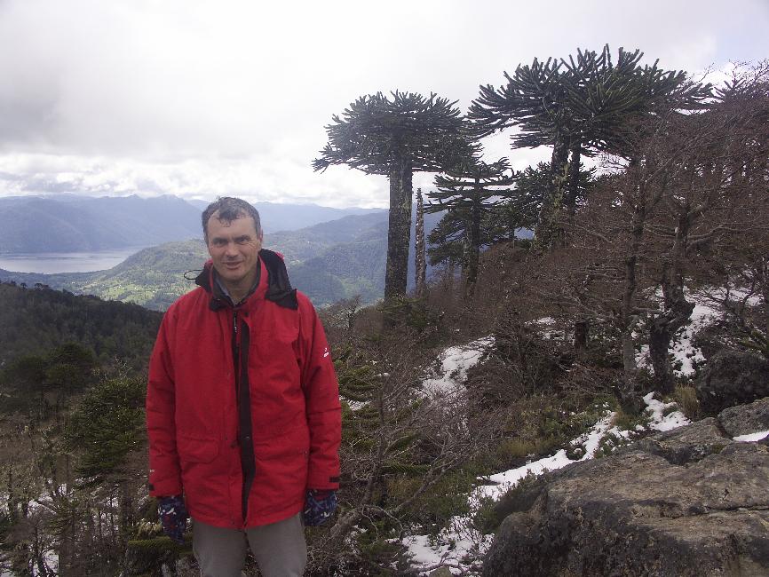 Sanctuaire de Cani : je pose devant les araucarias et le lac Villarrica