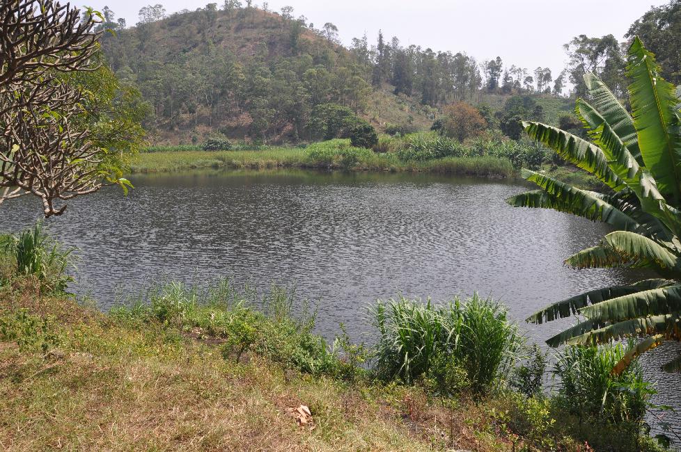 Le lac Noir