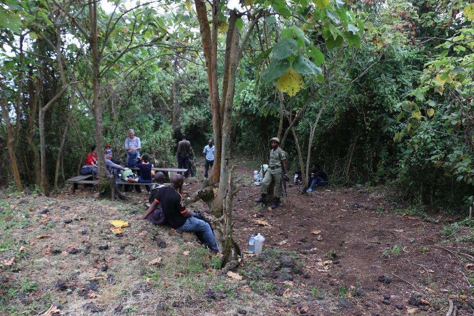 Préparatifs de départ, à Kibati