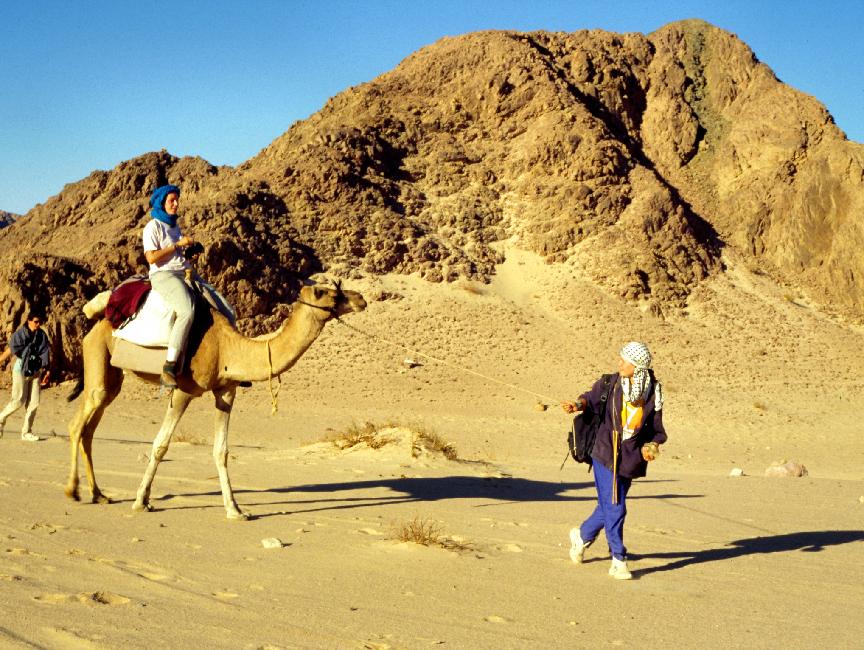Balade dans le Sinaï Balade dans le Sinaï