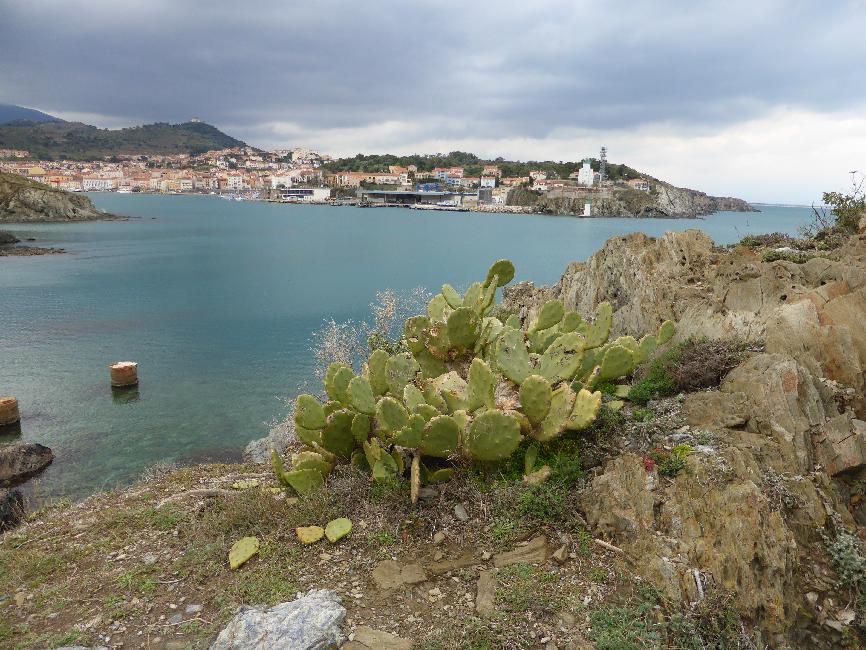 Port Vendre