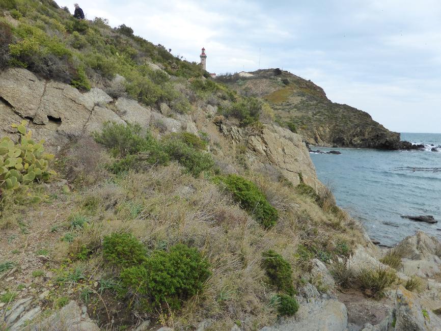 Collioure