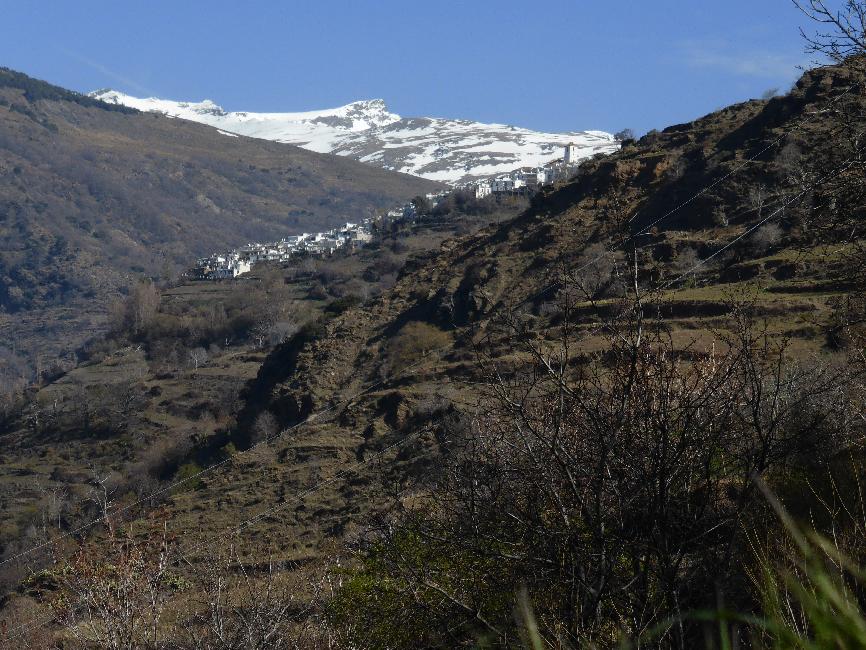 Pampaneira