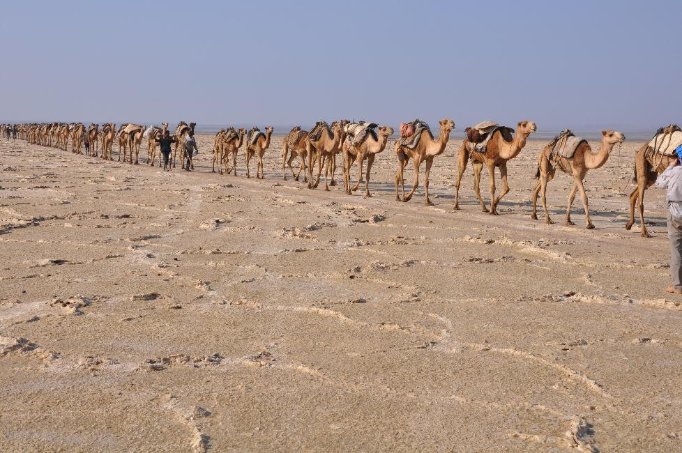 Le lac Karoum