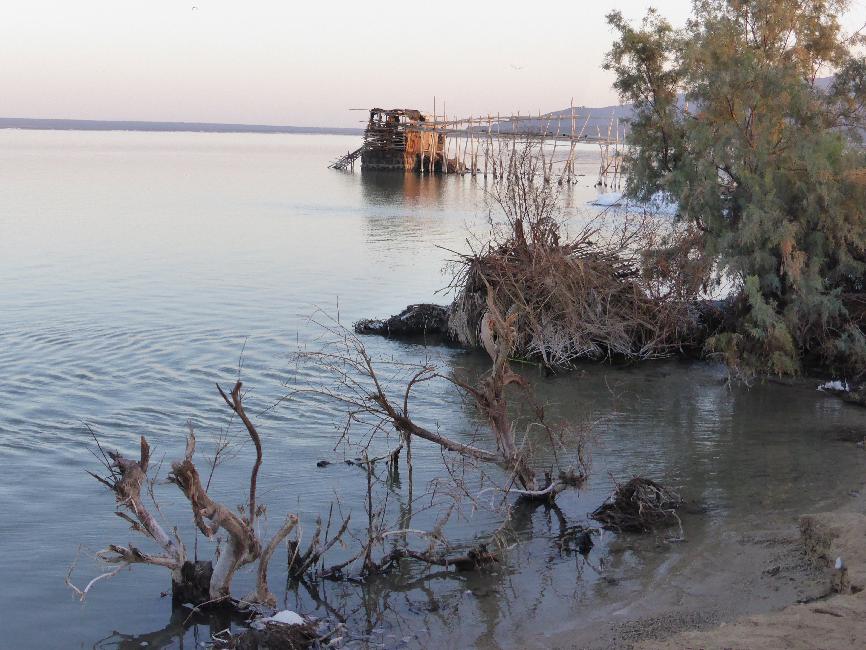 Au bord du lac