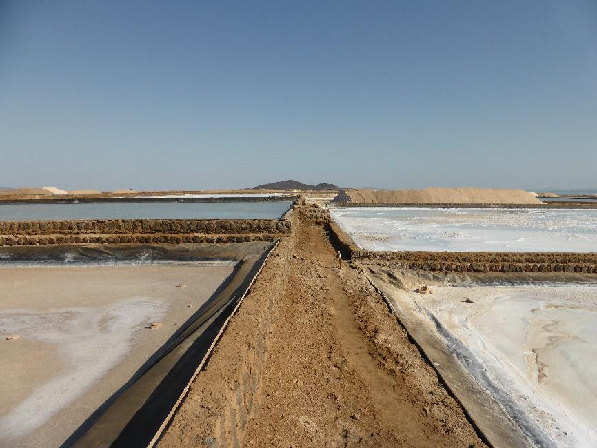 Salines