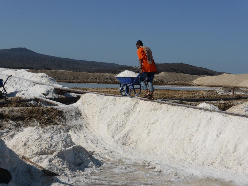 Salines