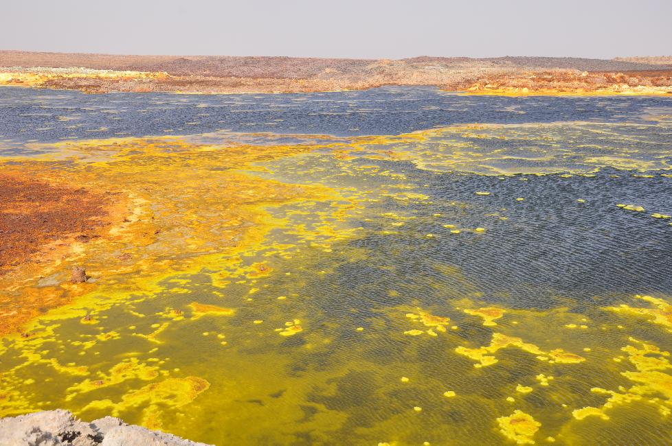 Vasques colorées
