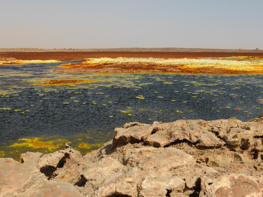 Vasques colorées