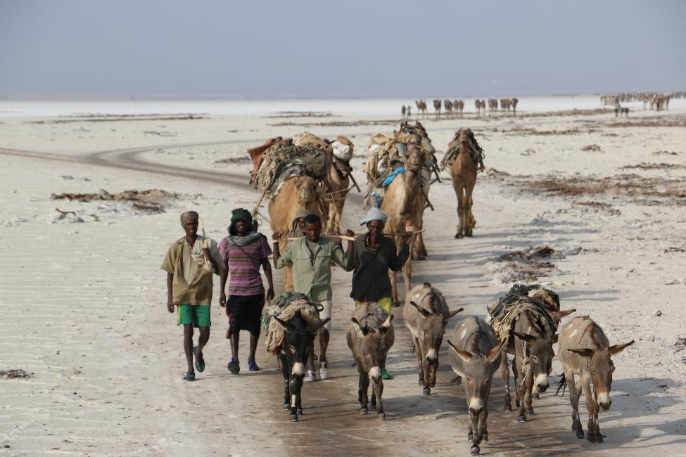 Le lac Karoum