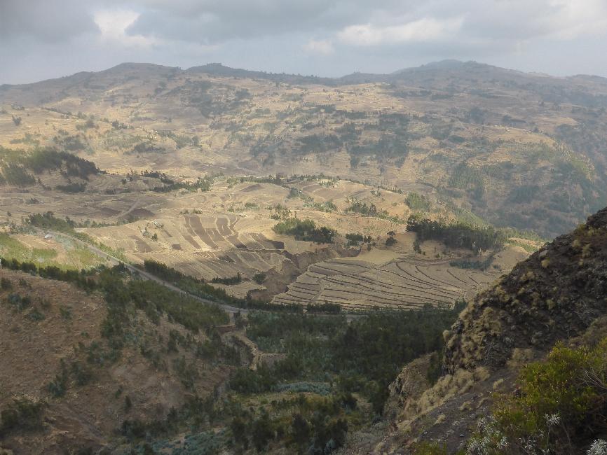Point de vue depuis la route