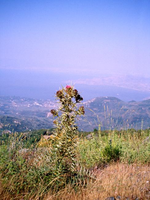 Volos, en bordure du golfe Pagasétique