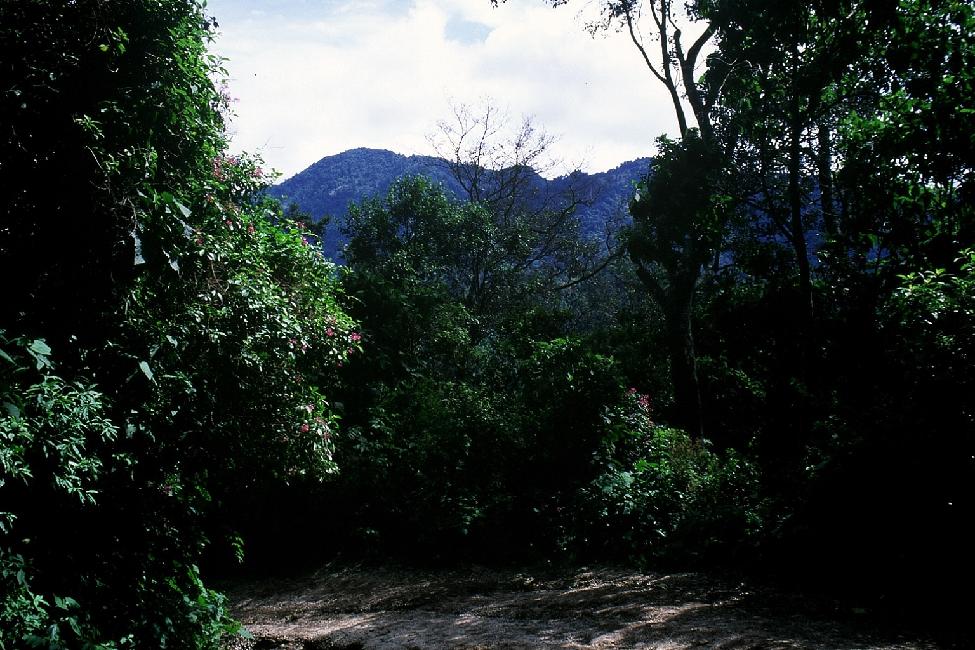 Pentes du volcan