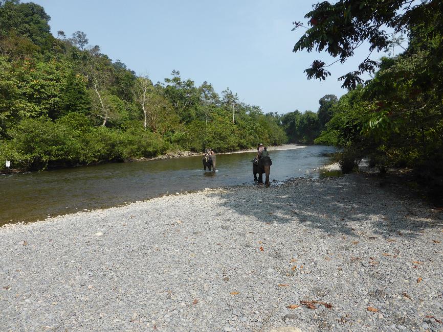 Balade au bord de la rivière
