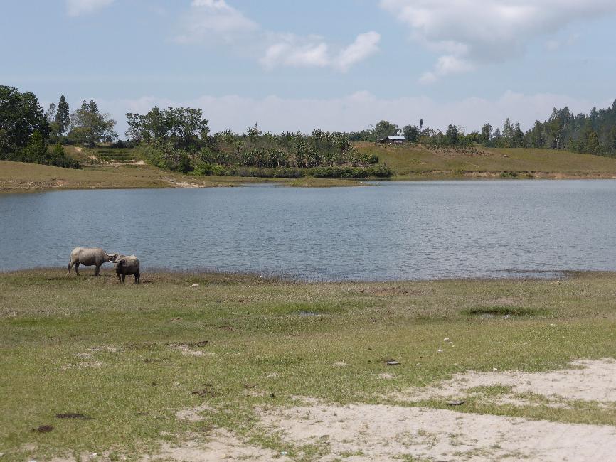 Le lac de Sidihoni