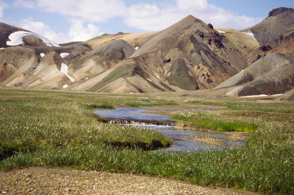Landmannalaugar : prairie humide 
